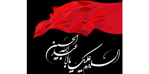 باز این چه شورش است که در خلق عالم است- محتشم کاشانی