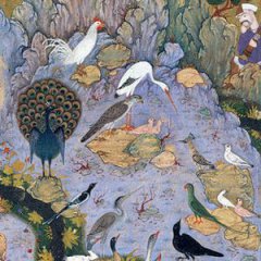 داستان پرنده‌ها در منطق‌اطیر عطار (۱)