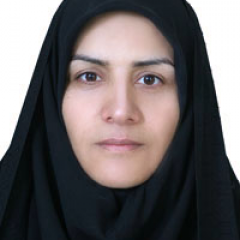 فاطمه خواجویی راد