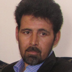 سلیمان حسنی