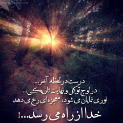 مهری کندری