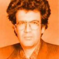 حسین شفیعی بیدگلی