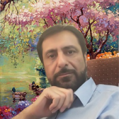 بردیا امین افشار