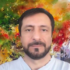 بردیا امین افشار