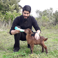 احمد ایرانی نسب