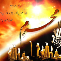 سید محمد حسین شرافت مولا