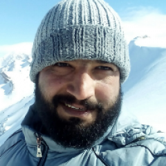 سعید فلاحی