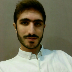 سینا علی زاده